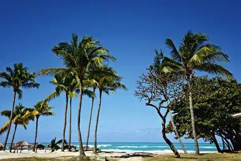 vol+hotel Sejour Starfish Cuatro Palmas 4* Cuba La Havane