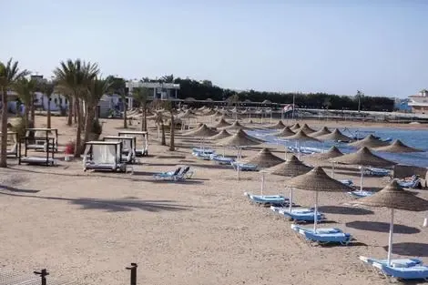 Egypte : Hôtel Paradise Golden 5