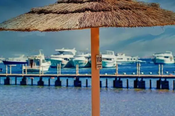 Egypte : Hôtel Pickalbatros White Beach