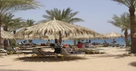 Egypte : Hôtel Jaz Sharm Dreams