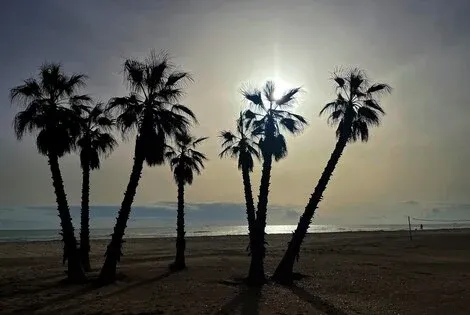 vol+hotel Sejour Agh Canet 4* Espagne Valence