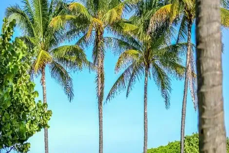 vol+hotel Sejour Crescent Resort On South Beach 4* Etats-Unis Miami