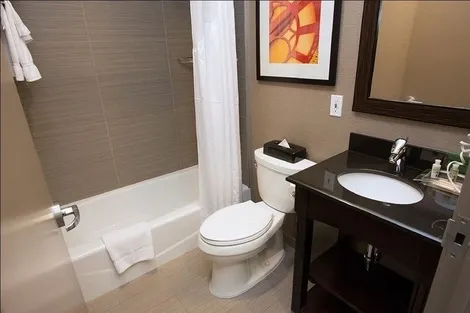 Etats-Unis-New York, Hôtel Holiday Inn Nyc Lower East Side 3*