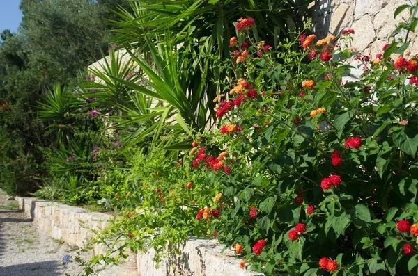 France Corse : Hôtel Residence Benista