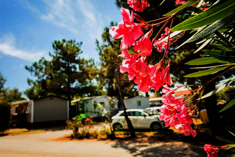 France : Camping Chadotel Le Trivoly