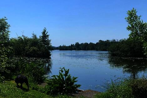 France : Camping Des Rosiers