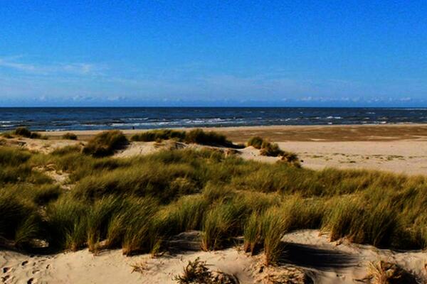 France : Camping Domaine de La Pinede