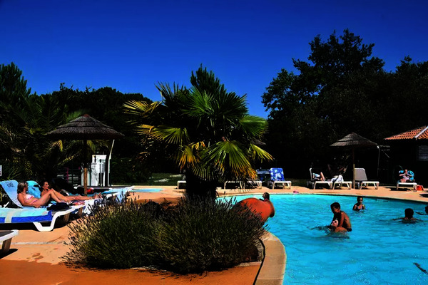 France : Camping En Chon Les Pins - Camping-Caravaning