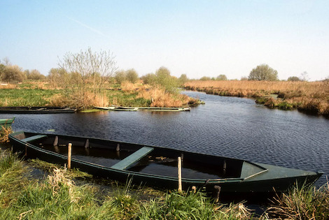 France : Camping L'Etang du Pays Blanc