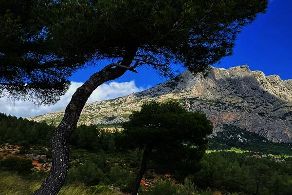 France : Camping Le Cézanne