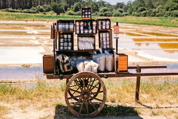 France : Camping Les Chardons Bleus de la Turballe