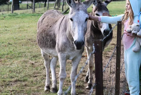 France : Camping Paradis Le Val de Trie