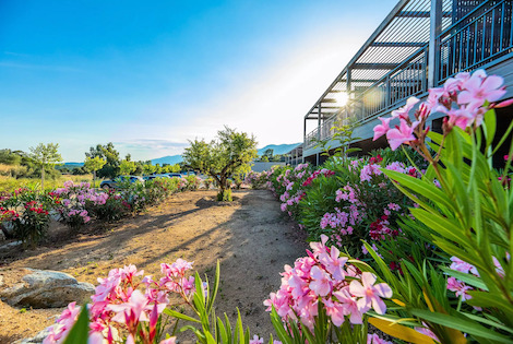 France : Résidence locative Premium Pierre & Vacances Les Terrasses d'Arsella