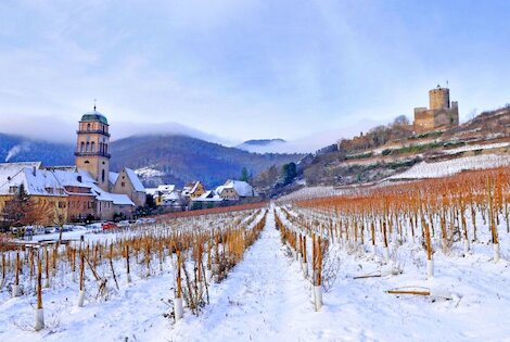 France : Village vacances VVF La Route des Vins d'Alsace