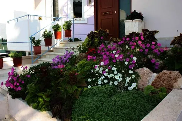 Grèce : Les Cyclades : Hôtel Veggie Garden Athens B&b