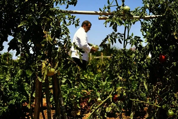 Grece : Hôtel Santo Pure Oia Suites & Spa