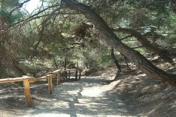 Grece : Hôtel Thea Hotel