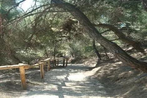 vol+hotel Sejour Thea Hotel 3* Grece Thessalonique