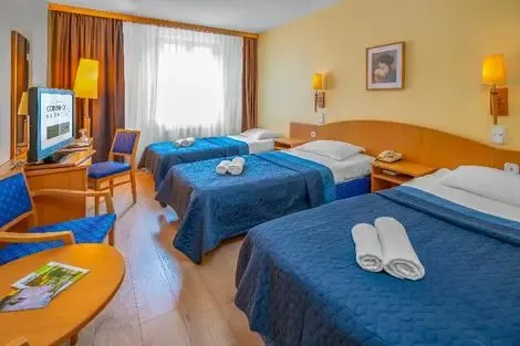 vol+hotel Sejour Corvin Hotel Budapest Sissi Wing 3* Hongrie Budapest