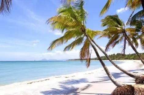 Iles Grenadines-Fort de France, Hôtel La Pagerie 4*
