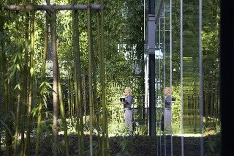 Irlande : Hôtel Gibson