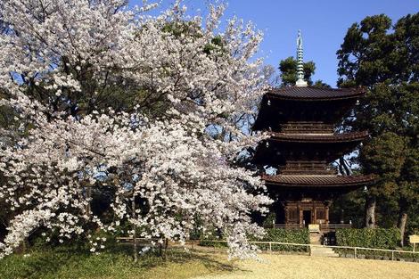 vol+hotel Sejour Chinzanso Tokyo 5* Japon Tokyo