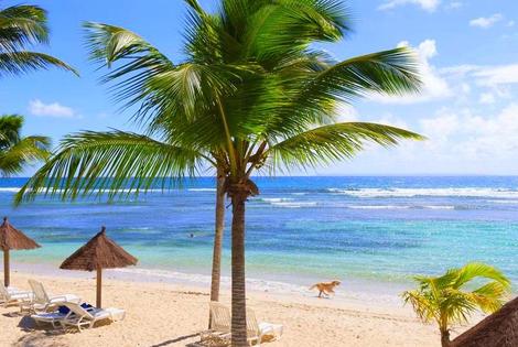 Marie-Galante-Pointe-à-Pître, Hôtel Pierre & Vacances Premium Les Tamarins 4*