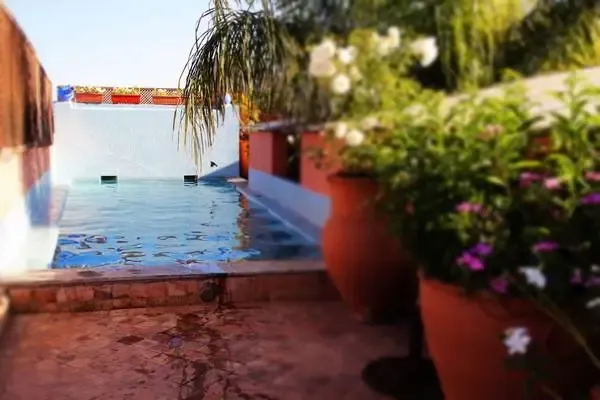 Maroc : Hôtel Riad Ayadina