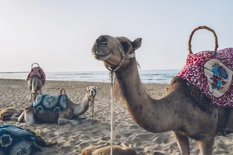 Sejour Iberostar Saidia 5* Maroc Oujda