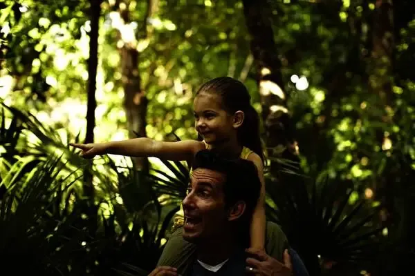 Mexique : Hôtel Iberostar Quetzal