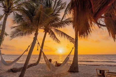 Mexique : Hôtel Petit Lafitte