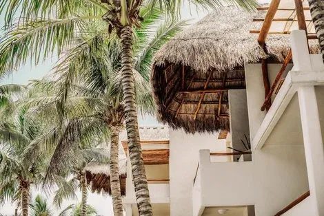 Mexique : Hôtel Petit Lafitte