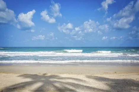 Mexique : Hôtel Thompson Playa Del Carmen