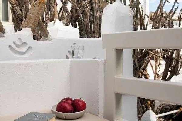 Mykonos : Hôtel Terra Maria Hotel