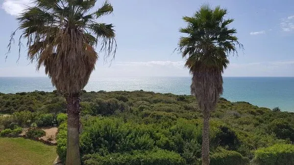 Portugal : Hôtel Pestana Palm Gardens