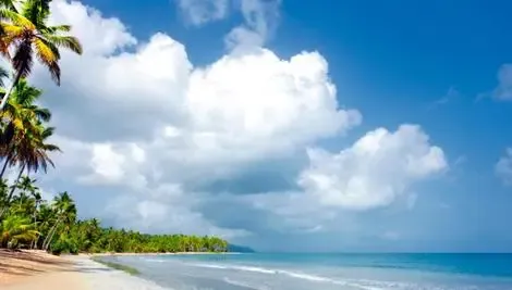 vol+hotel Sejour Sublime Samana 5* République Dominicaine Samana