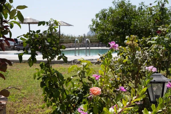 Rhodes : Hôtel Gardenia Hotel