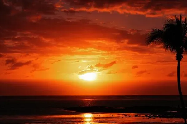 Rodrigues : Hôtel Ambre Resort & Spa