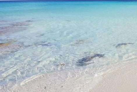 Sardaigne : Hôtel Micalosu