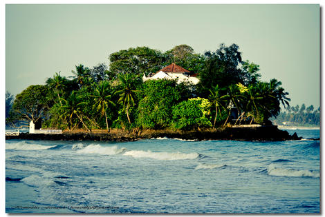Sri Lanka-Colombo, Hôtel Breeze Of Paradise