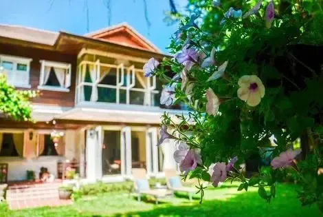 Thailande-Koh Samui, Hôtel Banyan House Bed And Breakfast 3*