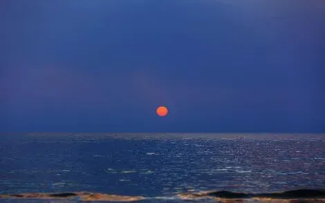 vol+hotel Sejour Le Shalimar 4* Tunisie Tunis