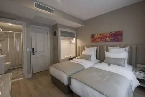 vol+hotel Sejour Le Petit Palace Hotel 4* Turquie Kayseri