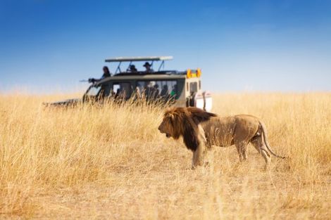 Parc Kruger