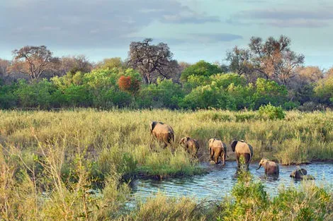 Swaziland