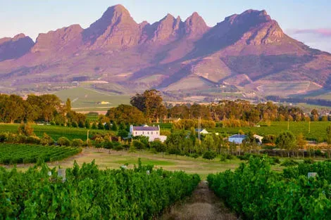 Stellenbosch