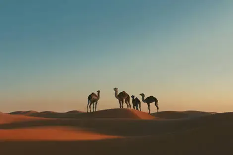 Circuit Arabie Saoudite millénaire : voyage au cœur des civilisations riyadh Arabie Saoudite