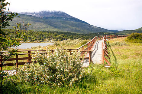 Terre de Feu - Ushuaia