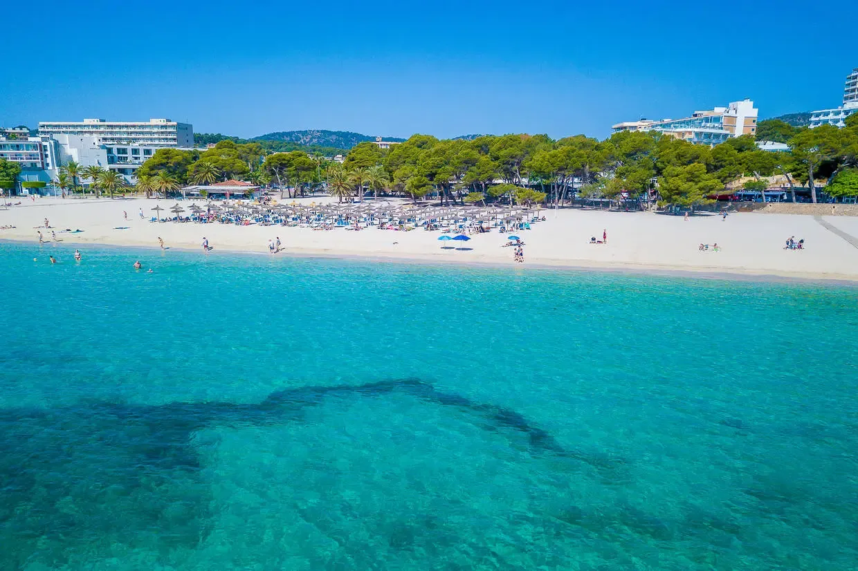 Baleares : Hôtel Globales Mimosa