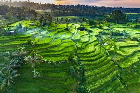 Combiné circuit et hôtel Perles de Bali & Java - extension 2 nuits Sanur denpasar Bali